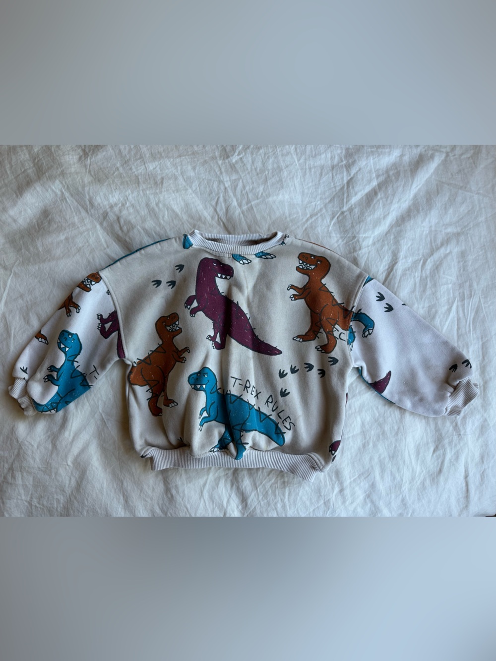 Zara Sweater  Blue, Purple, Brown Dinosaur Print